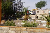 
DSC00424